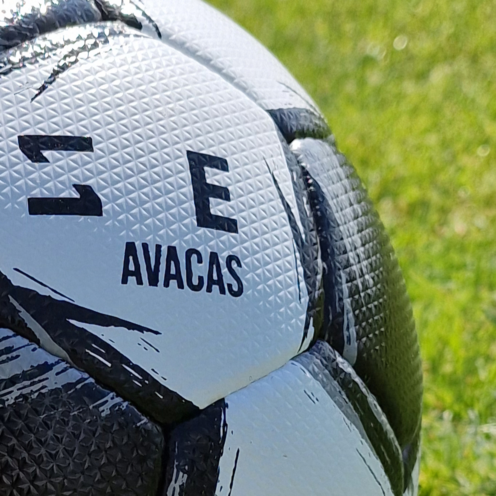 Piłka ONZE AVACAS – bok