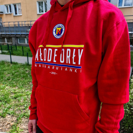 Bluza bawełniana lifestyle kangurka z nadrukami (PREMIUM)