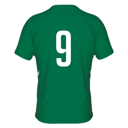 Koszulka treningowo-meczowa POLONEZ WARSZAWA zielona - herb 3D i numer na plecach