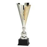 Puchar BI P5031-04 H70 – srebrno-złote trofeum sportowe z personalizacją