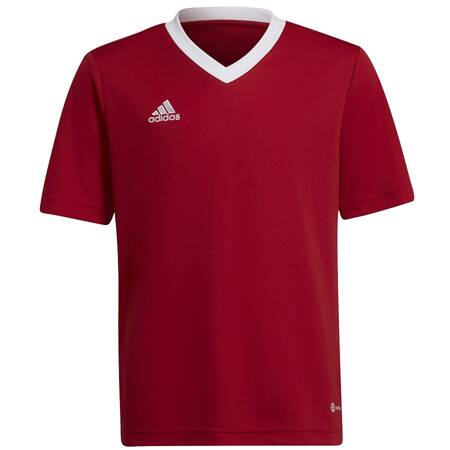 Koszulka adidas ENTRADA 22 JSY Y H57496